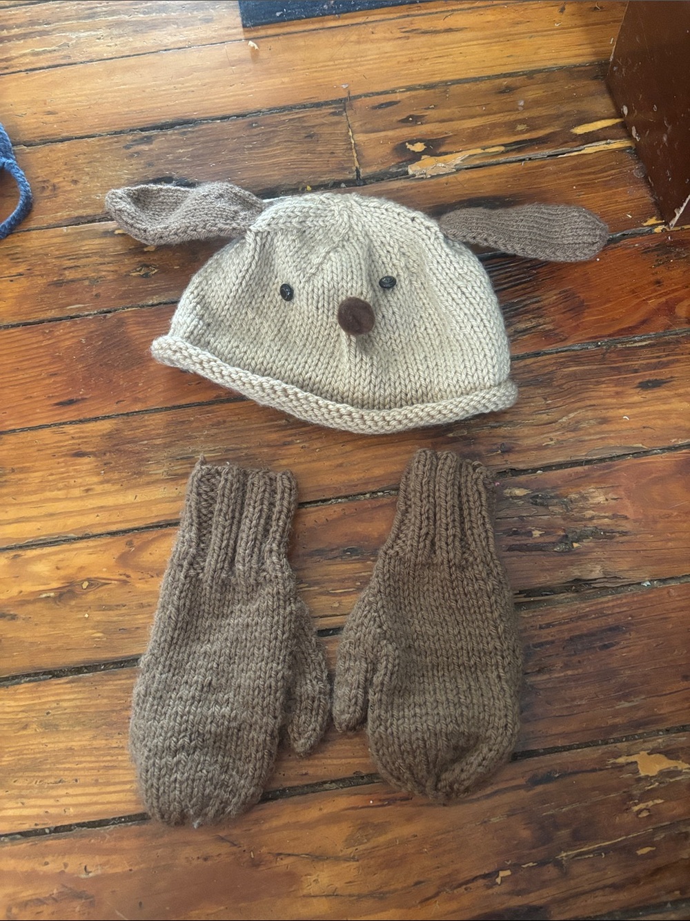Handmade Dog Hat & Mitten Set